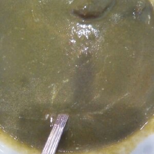 ほうれん草カレー